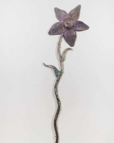 Durst Art Consultancy