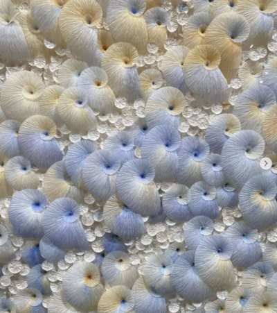 Durst Art Consultancy