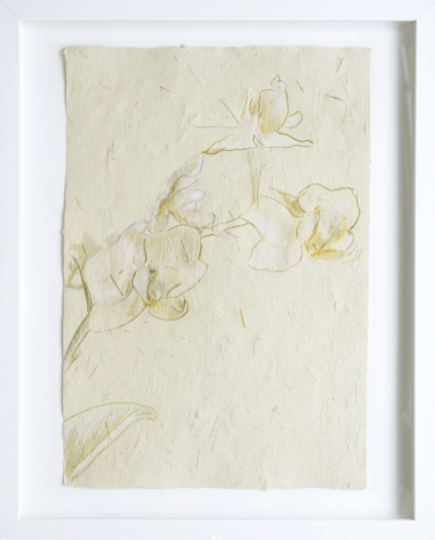 Durst Art Consultancy