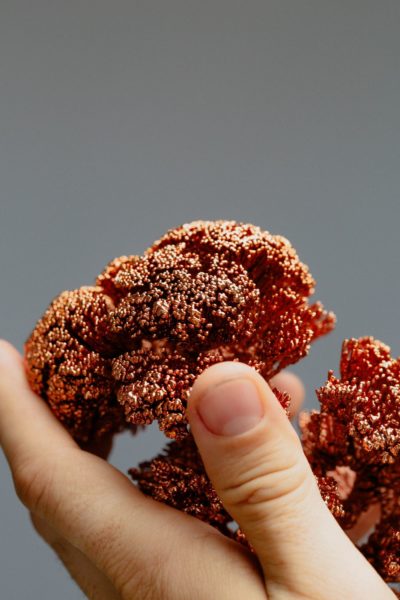 Durst Art Consultancy